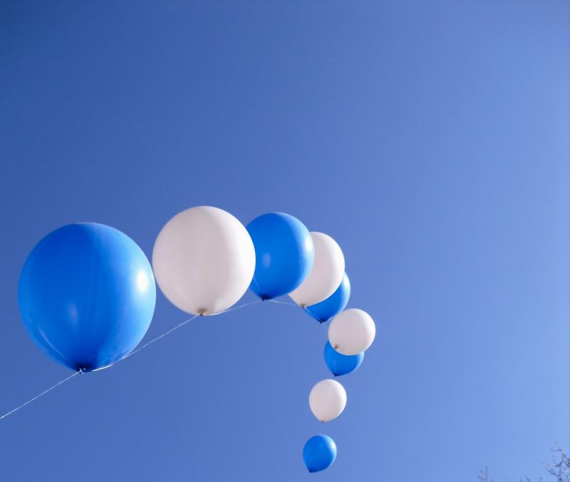 Невиждан интерес към павилиона на общността в Шанхай