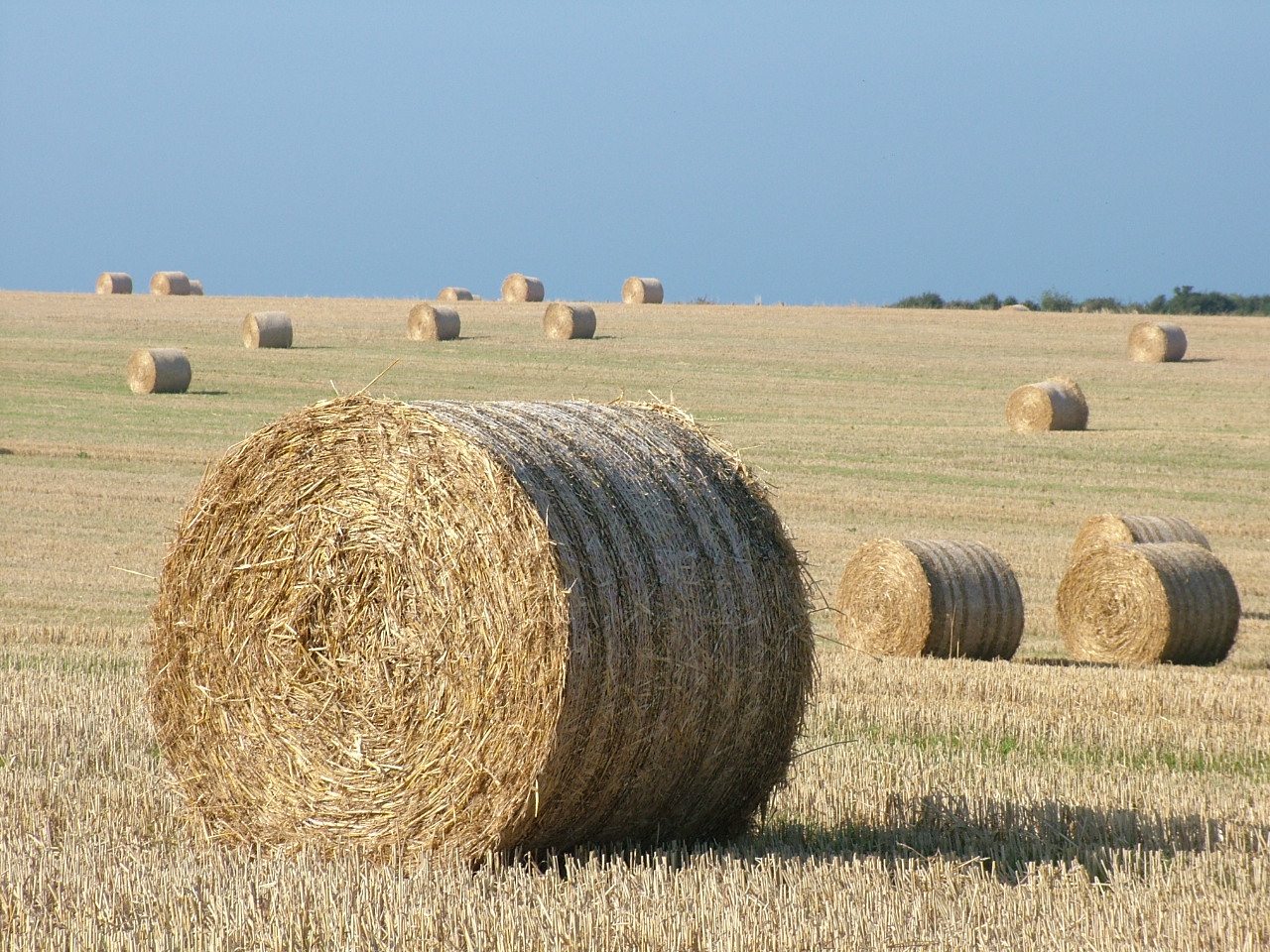 Ще бъдат ли задължителни застраховките “реколта”?