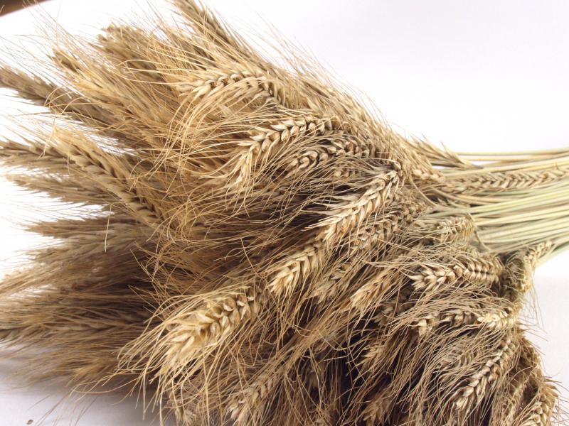 Земеделците не обичат да се застраховат