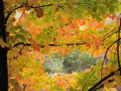 Американската мечта отиде в небитието