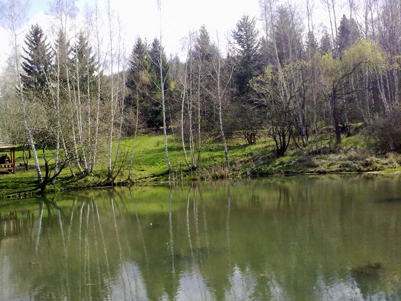 МКБ Юнионбанк организира почистване на Витоша