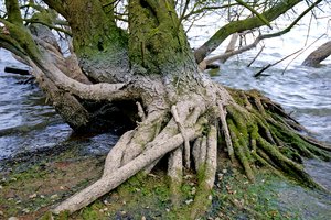 Бедствията от 2011 г. струват 105 млрд. долара на застрахователите