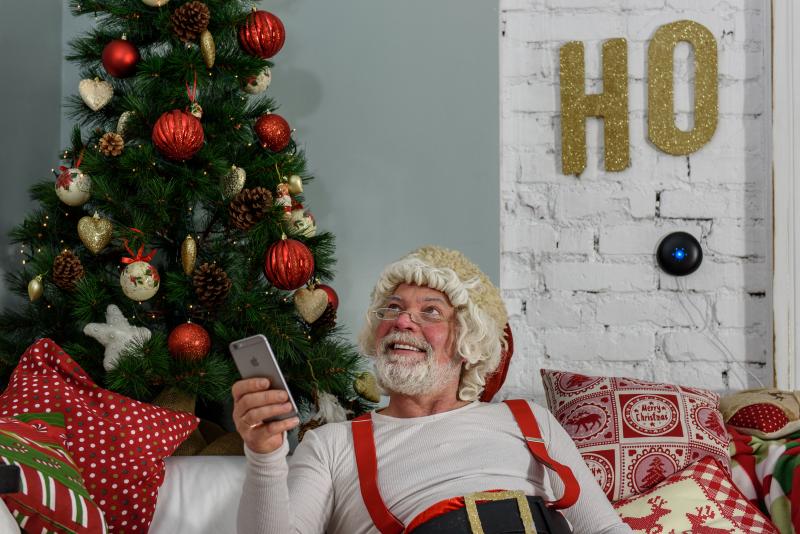 Мелиса Клаймът стартира коледна кампания срещу изсичането на иглолистни дръвчета за украса